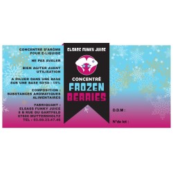 Concentré Frozen Mix Berries 30ml