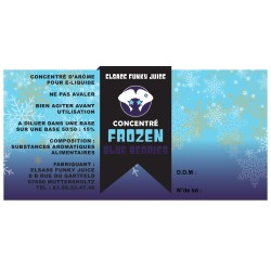 Concentré Frozen Blue Berries 30ml